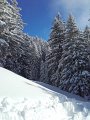 20170115_102121