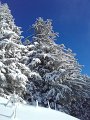 20170115_102131