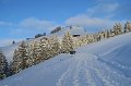 IMG_0190