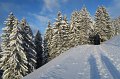 IMG_0193