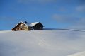 IMG_0199