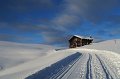 IMG_0201