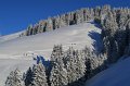 IMG_0215