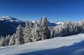 IMG_0219