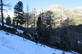 IMG_5574