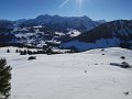 IMG_3991