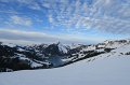 IMG_4100