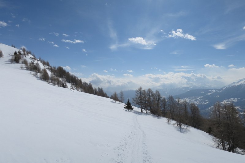 IMG_4233.JPG