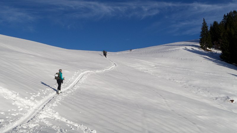 IMG_7306_DxO.jpg