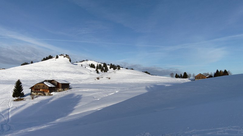 IMG_4695_DxO.jpg