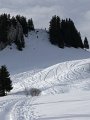 IMG_4727_DxO